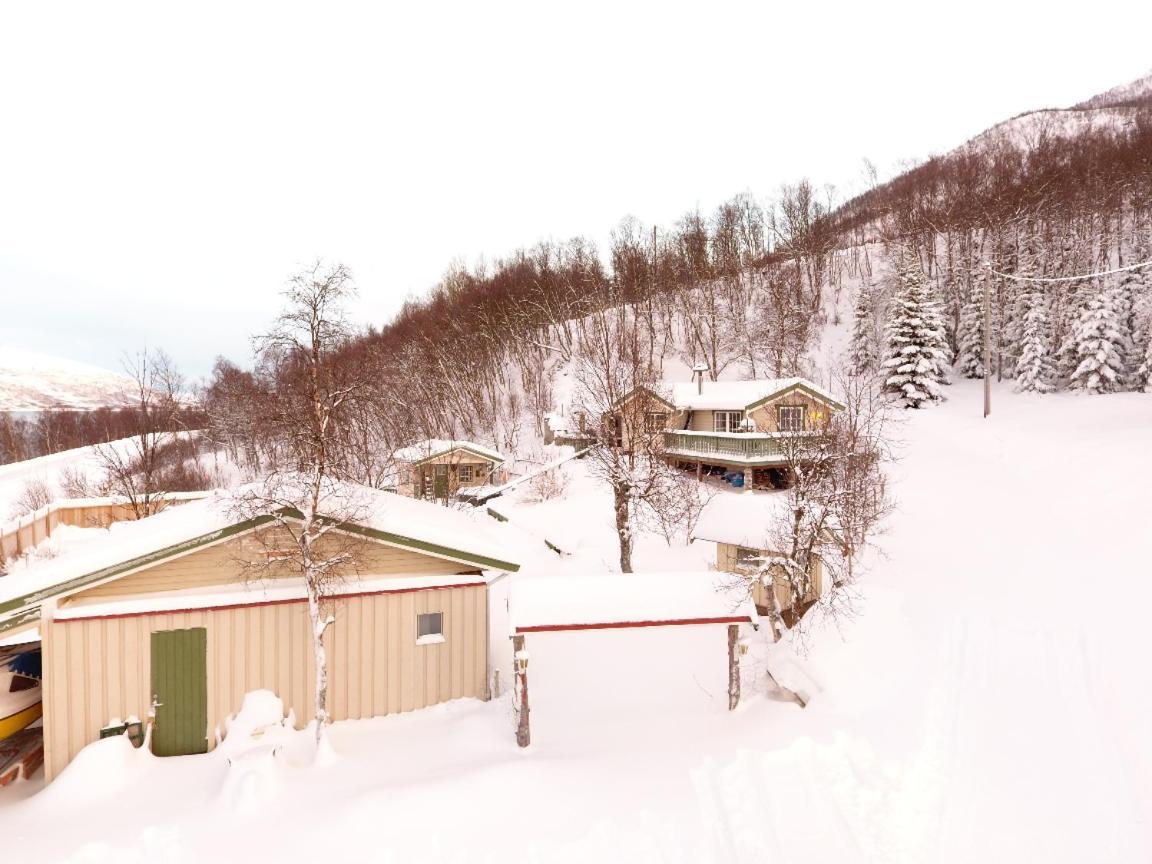 Marytun Cabins Mortenhals Exteriör bild